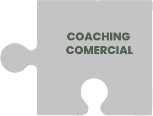 Coaching-Comercial-VTB-GROUP