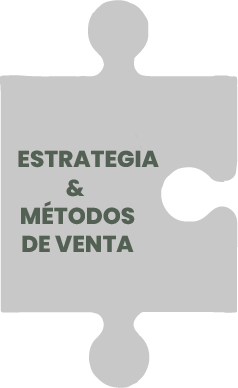 Estrategia-de-Venta-VTB-GROUP