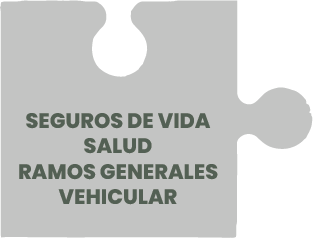 Seguros-de-Vida-Salud-Ramos-Generales-VTB-GROUP